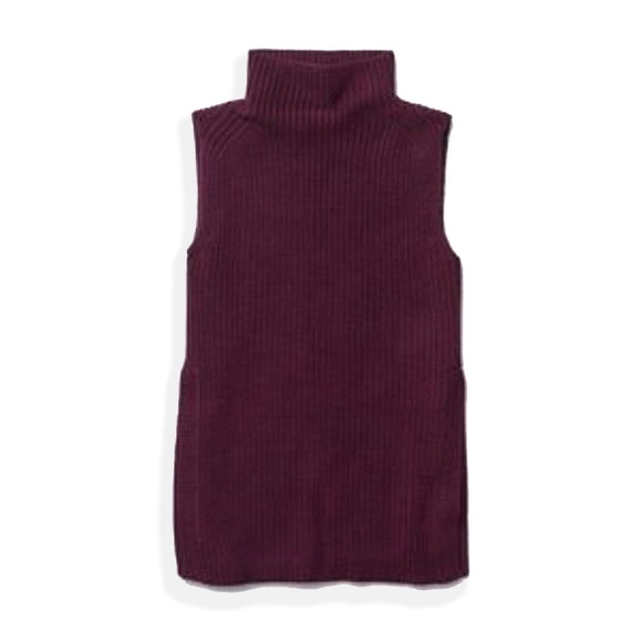 Aritzia Sweaters - Aritzia Wilfred Free Sleeveless Knit Turtleneck